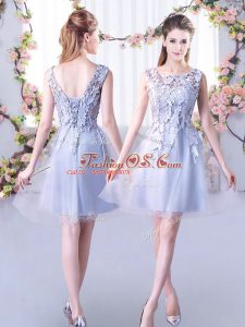 Great Lace Quinceanera Court Dresses Grey Lace Up Sleeveless Mini Length