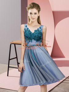 Appliques Damas Dress Blue Lace Up Sleeveless Knee Length
