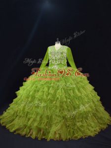 Cheap Floor Length Ball Gowns Long Sleeves Olive Green Sweet 16 Dress Lace Up