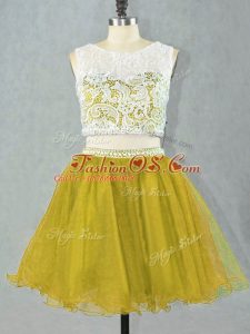 Decent Scoop Sleeveless Zipper Prom Gown Olive Green Organza
