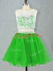 Elegant Organza Sleeveless Mini Length Homecoming Dress and Lace and Appliques