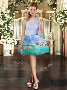 Pretty Scoop Sleeveless Tulle Club Wear Ruffles Zipper