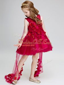 Wine Red Ball Gowns V-neck Sleeveless Tulle Watteau Train Lace Up Hand Made Flower Toddler Flower Girl Dress