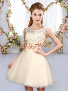 Latest Scoop Sleeveless Tulle Dama Dress for Quinceanera Lace and Bowknot Lace Up