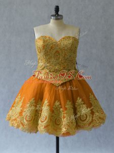 Customized Rust Red Lace Up Sweetheart Appliques and Embroidery Prom Party Dress Tulle Sleeveless