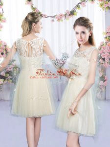 Modest Champagne Tulle Lace Up Wedding Guest Dresses Sleeveless Mini Length Lace and Bowknot