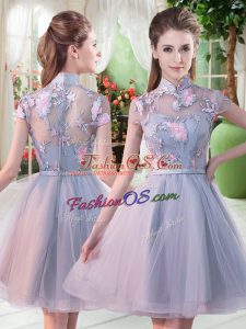 Graceful Grey A-line Appliques Prom Evening Gown Zipper Tulle Short Sleeves Knee Length