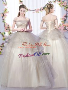 Designer Floor Length A-line Sleeveless Grey Quinceanera Gown Lace Up