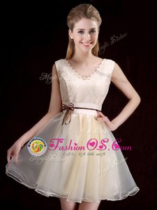 Best V-neck Sleeveless Lace Up Dama Dress Champagne Organza