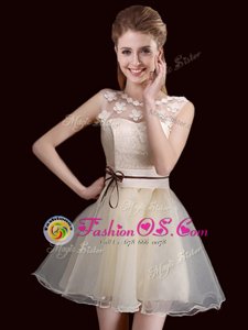 Champagne Organza Lace Up Scoop Sleeveless Mini Length Dama Dress Lace