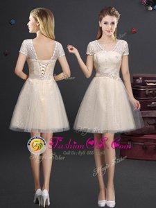 Fine Champagne A-line V-neck Short Sleeves Tulle Mini Length Lace Up Lace and Appliques and Belt Damas Dress