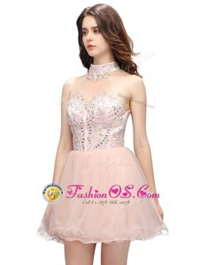 Cheap Pink Sleeveless Organza Zipper Dress for Prom for Prom and Party
