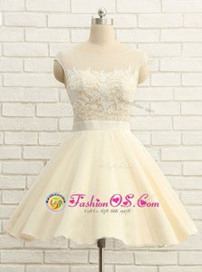 Clearance Scoop Cap Sleeves Zipper Homecoming Dress Champagne Organza