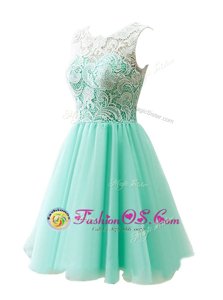 Cheap A-line Homecoming Dress Apple Green Scoop Tulle Sleeveless Knee Length Clasp Handle