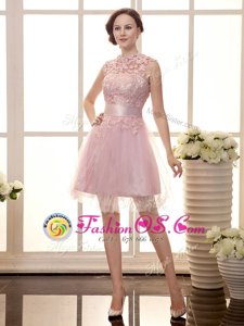 Luxury Baby Pink A-line High-neck Sleeveless Chiffon Mini Length Zipper Lace Evening Dress