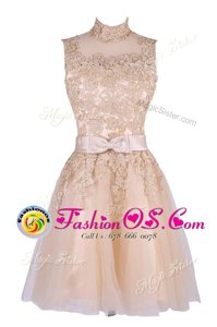Fabulous Sleeveless Knee Length Appliques Zipper Mother Of The Bride Dress with Champagne