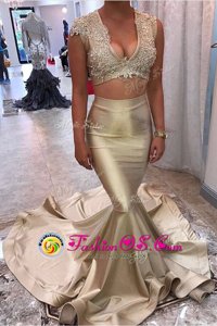 Mermaid Champagne Satin Zipper V-neck Sleeveless Celebrity Style Dress Court Train Appliques