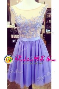 Luxurious Scoop Lace Sleeveless Appliques Zipper Dress for Prom