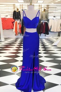 Fashionable Scoop Sleeveless With Train Ruching Zipper Prom Dresses with Royal Blue Sweep Train