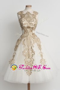 High End Champagne Ball Gowns High-neck Sleeveless Tulle Knee Length Zipper Lace Dress for Prom