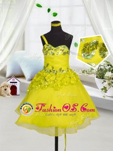 Sleeveless Beading and Appliques and Hand Made Flower Lace Up Child Pageant Dress