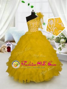 One Shoulder Sleeveless Side Zipper Little Girls Pageant Gowns Gold Organza