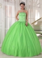 Elegant Spring Green Quinceanera Dress Strapless Taffeta and Tulle Appliques Ball Gown
