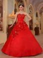 Exclusive Red Quinceanera Dress Sweetheart Organza Handle Flowers Ball Gown