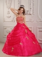Perfect Hot Pink Quinceanera Dress Strapless Organza Appliques Ball Gown