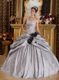 Romantic Gray Quinceanera Dress Strapless Taffeta Appliques Ball Gown