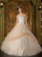 Informal Champagne Quinceanera Dress Strapless Appliques Tulle Ball Gown