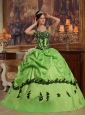 Popular Light Green Quinceanera Dress Straps Appliques Taffeta Ball Gown
