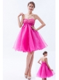 Hot Pink A-line Sweetheart Prom / Cocktail Dress Organza Beading Mini-length