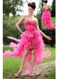 Hot Pink Column Sweetheart High-low Prom / Homecoming Dress Organza Beading