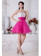 Hot Pink A-line Sweetheart Short Prom / Homecoming Dress Organza Beading Mini-length