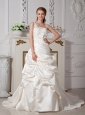 Wonderful Ivory One Shoulder Appliques Wedding Dress Court Train Taffeta