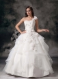 Elegant One Shoulder Ball Gown Wedding Dress Organza Appliques Floor-length