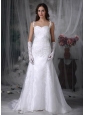 Sweet A-line Straps Wedding Dress Organza Appliques and Ruch Brush Train