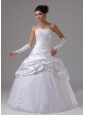 Alpine California City For Wedding Dress With Appliques and Pick-ups Ball Gown