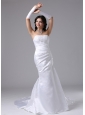 Column Strapless and Lace For Romantic Wedding Dress In Carson California Brush Train