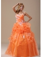 Michigan Appliques Decorate Up Bodice Orange With Hand Made Flowers Floor-length For 2013  Military Ball Gowns