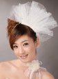 Tulle Hair Combs Imitation Pearls Wedding and Special Occasion