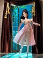 New Fashion Princess Pink Dress With Long Sleeves Gown For Quinceanera Doll