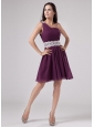 Dark Purple One Shoulder 2013 Prom Dress With Sash and Ruch Chiffon