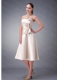 Champagne A-line / Princess Strapless Dama Dresses for Quinceanera