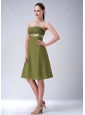 Olive Green Strapless Chiffon Discount Dama Dress