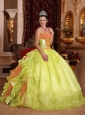 Spring Green Ball Gown Strapless Floor-length Organza Embroidery Popular Quinceanera Dresses