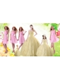 Champagne Ball Gown Quinceanera Dress and Ruching Baby Pink Dama Dresses and Floor Length 2015 Little Girl Dress