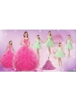 Beautiful Ruffles and Beading Quinceanera Dress and Apple Green Short Dama Dresses and Beading Little Girl Dress