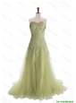 Pretty Luxurious Appliques Brush Train Long Prom Dresses in Olive Green